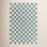 Jenna Hand-Woven Teal Checkered Rug