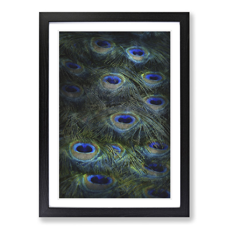 The Feathers of a Peacock - Picture Frame Painting Print, 87cm H x 62cm W x 2cm D, Black Framed