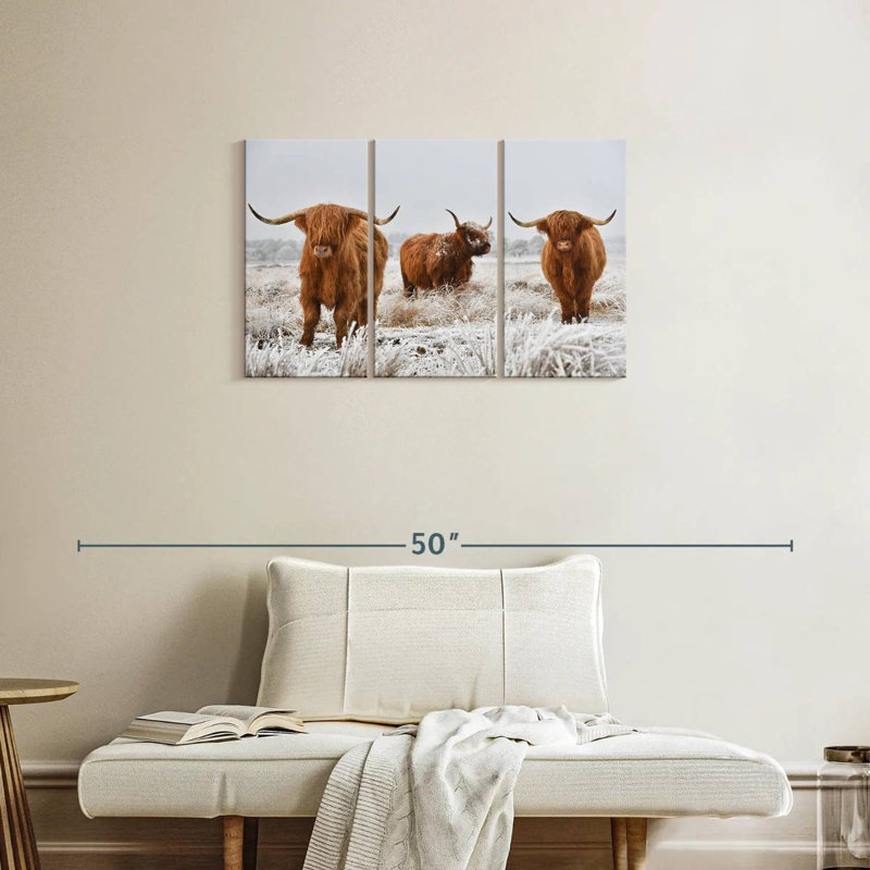 Trois vaches Highland, H 20 po x l 33 po