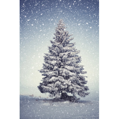 Winter tree