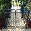 Arche de jardin, arche de jardin en métal avec barrière 79,5 "de large x 86,6 po de hauteur pour plantes grimpantes-116793889