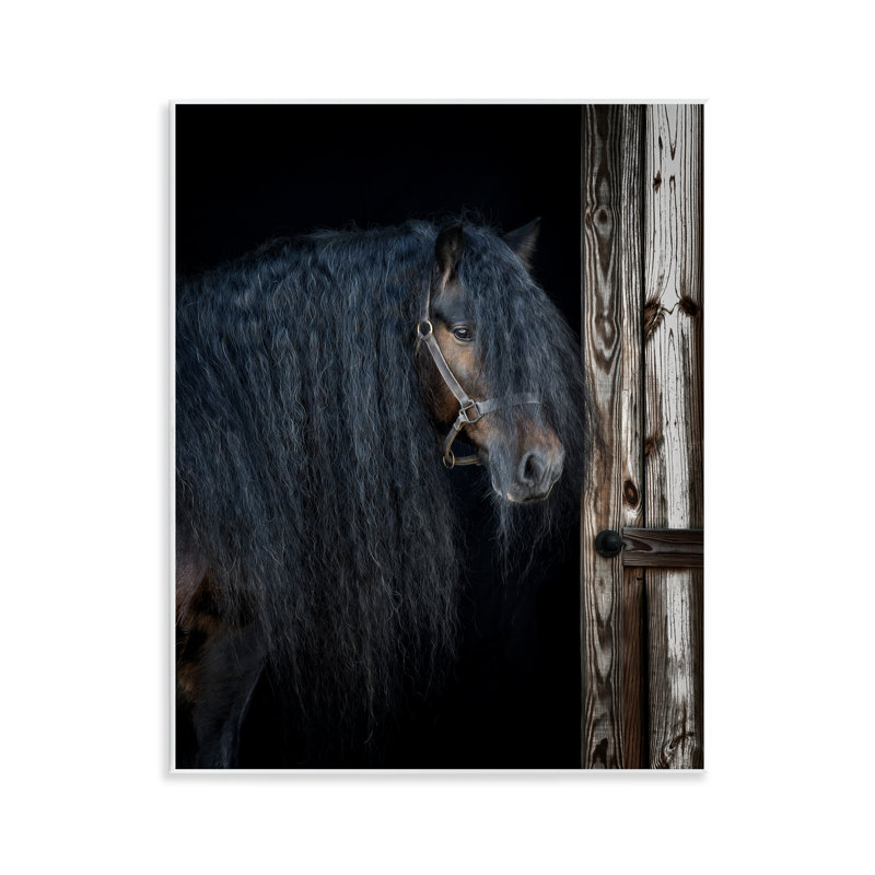 Cheval avec crinière ondulée, art par PHBurchett