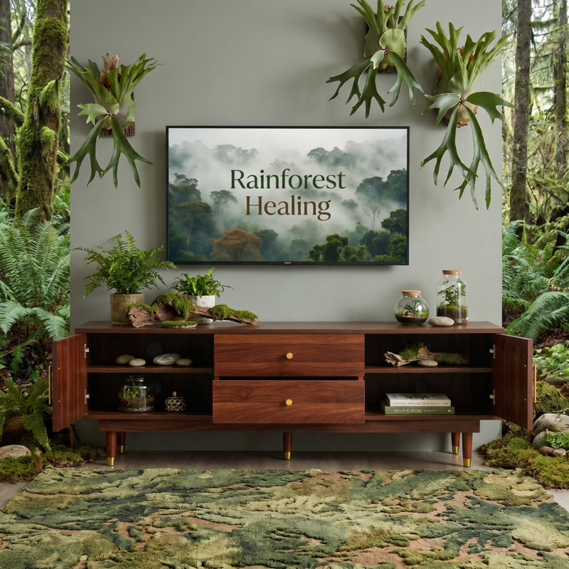 Meuble télé North American Terroir Series Rainforest, 22.9" x 66.9" x 14.9", Walnut