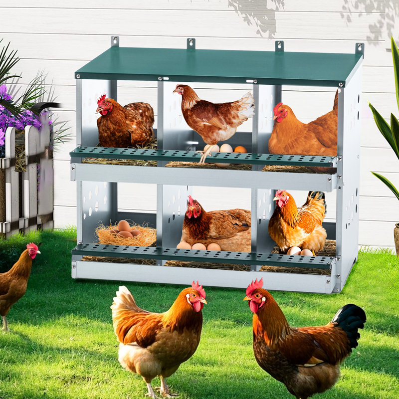 Galvanized Steel Nesting Box With 6 Compartments For Chicken Egg Laying, Roll - Away System Efficient Gathering, Comfortable Environment , Easy To Clean, 16.87 In Product Width Chicken, Effortless
