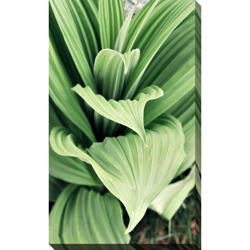 «Green Leaf Blooms I», reproduction de peinture à l'aquarelle, H 60 po x l 36 po x P 1,5 po, Toile tendue