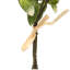 Ensembles de feuilles artificielles satinées Pothos - 13 po - Vert - ensemble de 6