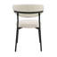 Chaise d'appoint Jirina Chenille (ensemble de 2)