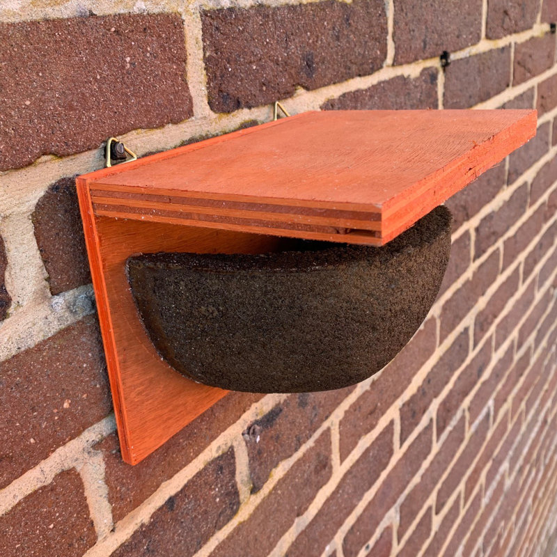 House Martin Mounted Bird House