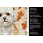 White Lhasa Apso Heirloom Fall Kitchen Towel-1218231013
