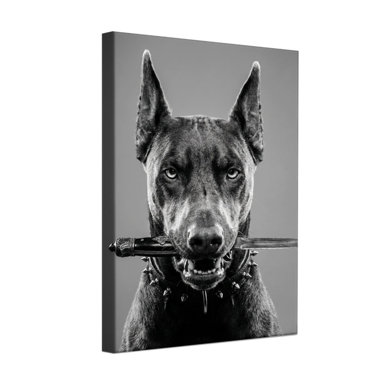 Animaux, chien tenant une épée dans la bouche - noir et blanc, H 20 po x l 30 po, Toile tendue, Ne s’applique pas