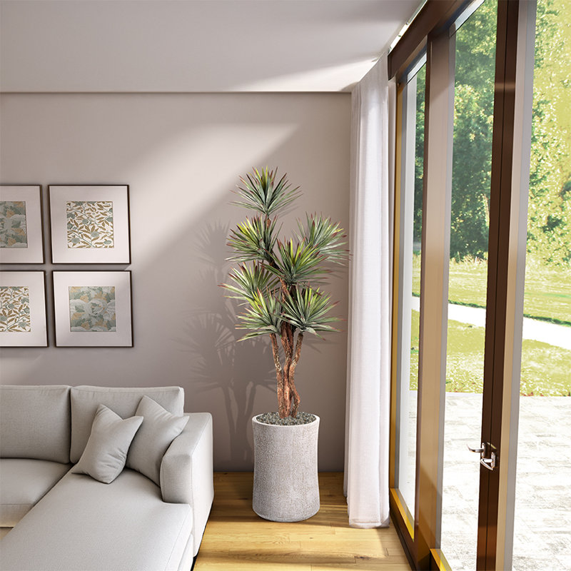 8' Agave Tree in White Weston Planter
