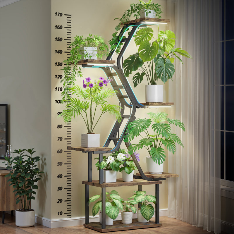 Support pour plante d'intérieur 65 po, Couleur du plateau brun / couleur de la base noire