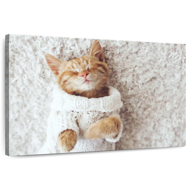 Brampt Cat In A Sweater, 8" H x 12" W