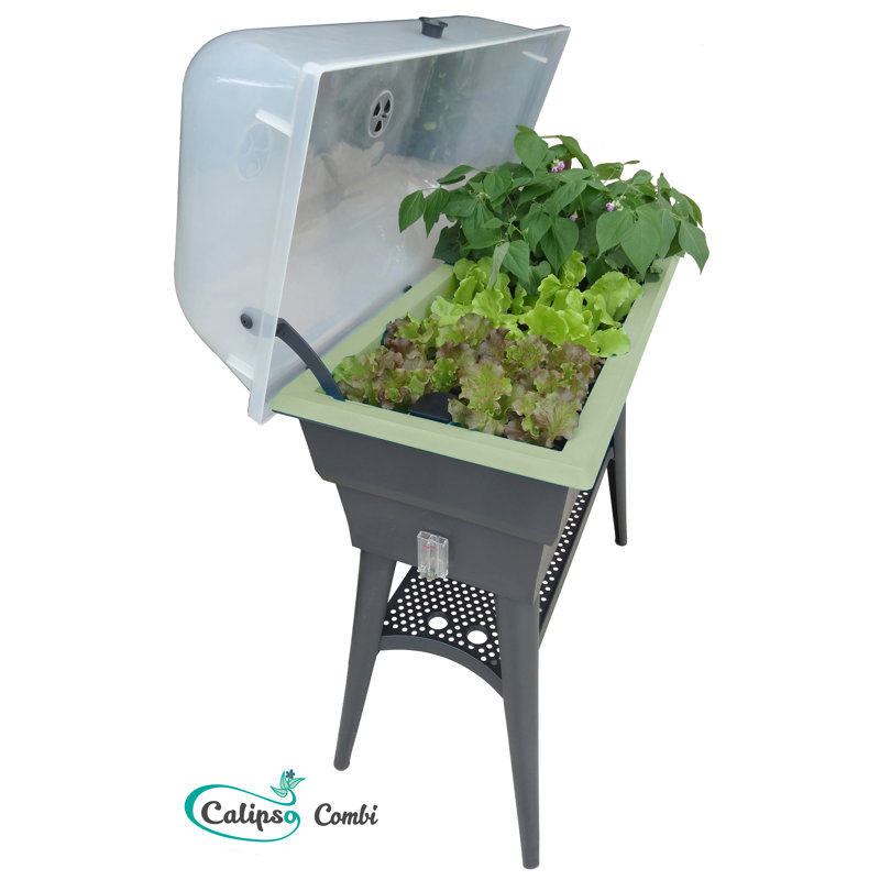 Planter, 50cm H x 81cm W x 39cm D, Grey/Lime Green