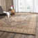 Oriental Hand Woven Area Rug