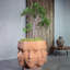 Faces terracotta planter