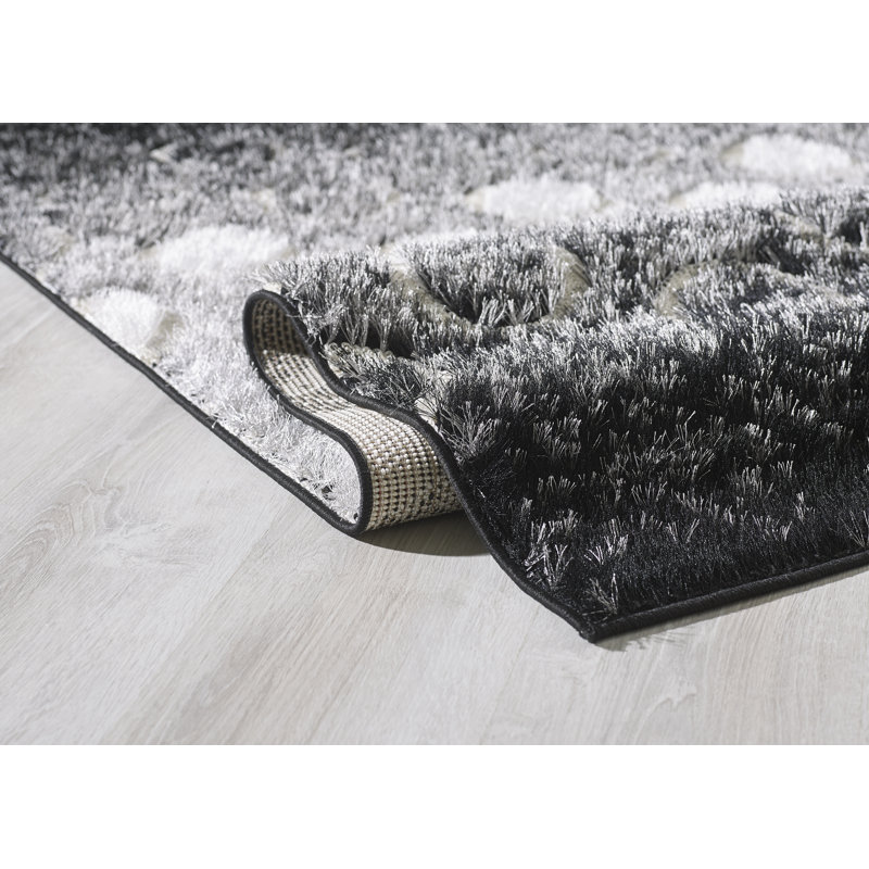 Tapis noir à poils longs Jacyn, Rectangle 8 pi x 10 pi