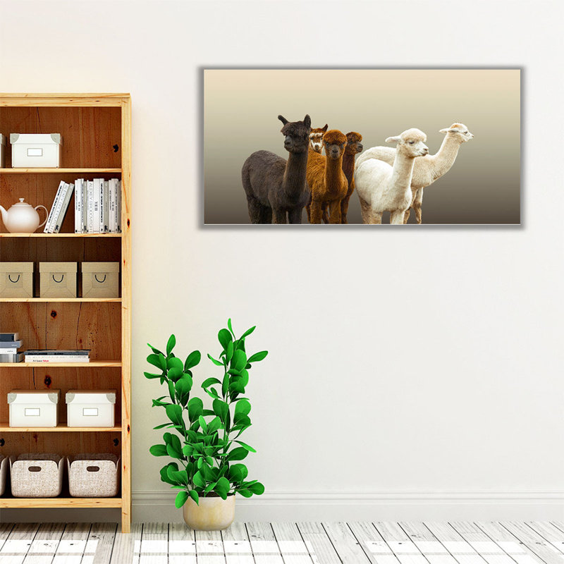 «Group of Alpacas», reproduction d'art sur toile, H 10 po x l 20 po