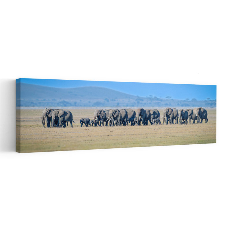 Art éléphant africain pacifique contemporain, H 12 po x l 36 po
