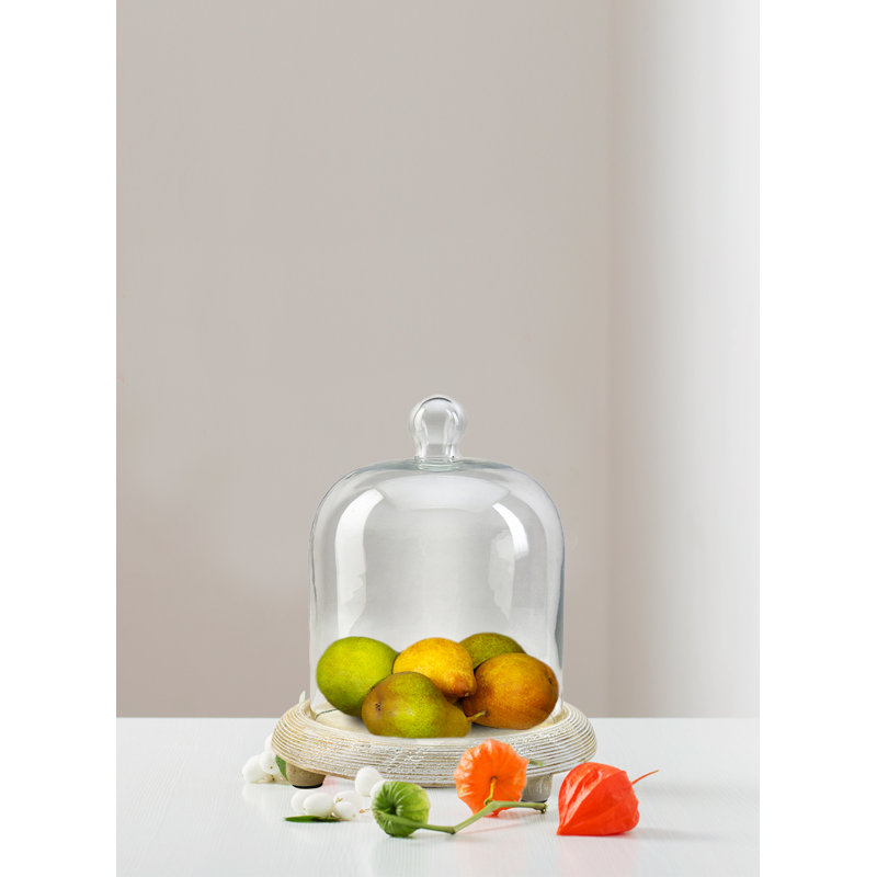 Terrarium d'intérieur, H 9,25 po x l 8 po x P 8 po