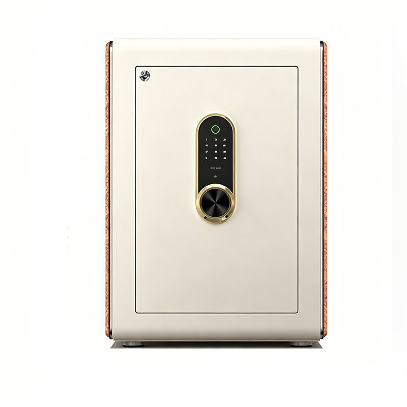 Armoire sécuritaire 17,32 po
