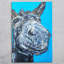SAM FENNER Traditional Wall Decor