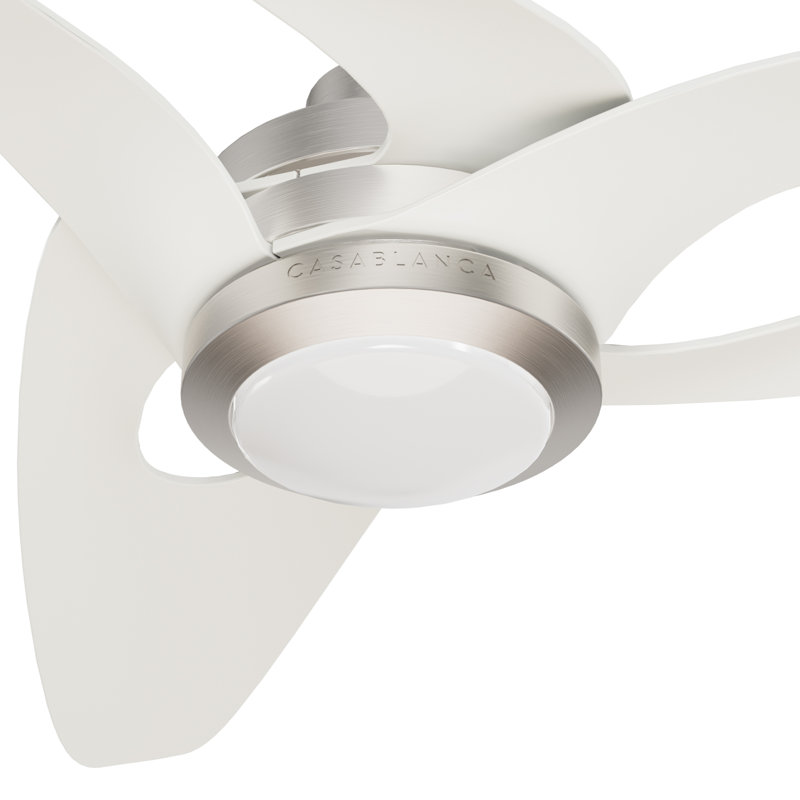 Inez 60'' Ceiling Fan with LED Lights, White