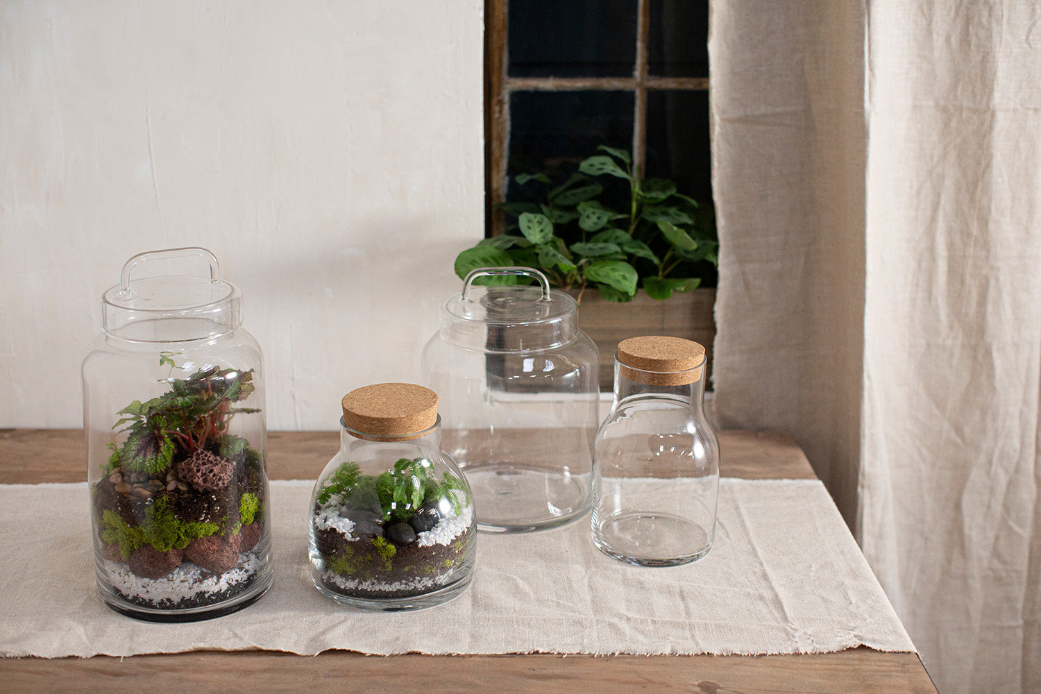 Antin 8'' Handmade Glass Decorative Urns & Jars