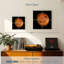 Oberle Venus Close Up-109114643