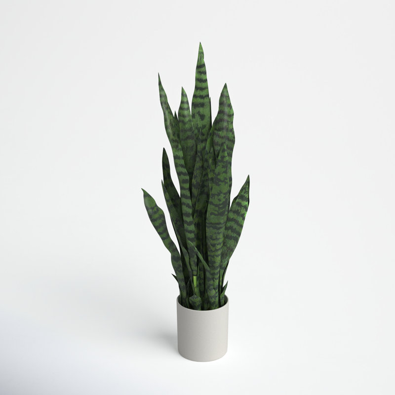 Plante de serpent artificielle Sansevieria en pot, Grand