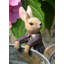 Isam Animals UV Resistant Stone Garden Statue
