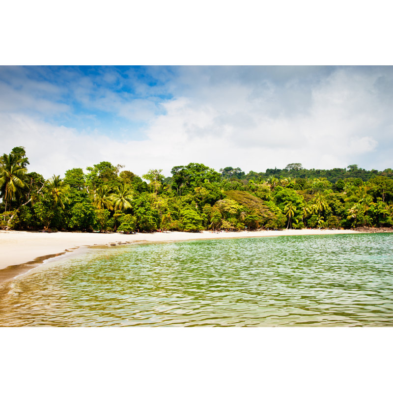 Plage de sable blanc par Mlenny, H 8 po x l 12 po