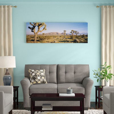" Joshua Tree National Park, California, USA I " by Panoramic Images