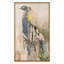 Noble Peacock 2 Print by Todaro, Katie-406675996-406675998