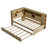 Daybed with Storage Shelves, USB and Trundle-280068810
