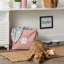 Bac pour animaux Paw-432920652-432920653