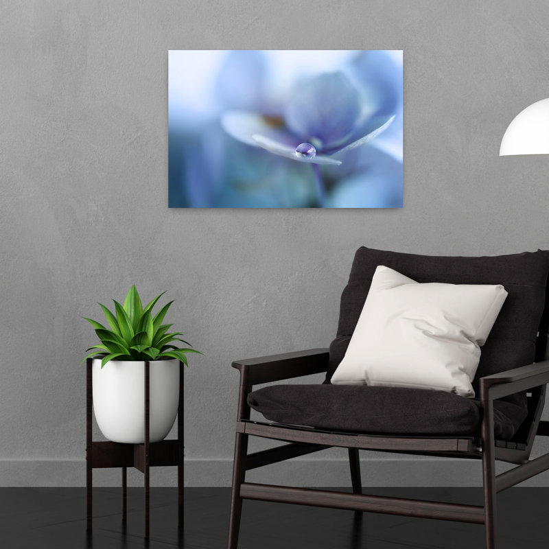 Affiche murale de nature délicate et paisible représentant une goutte de pétale bleu, 16" H x 24" W