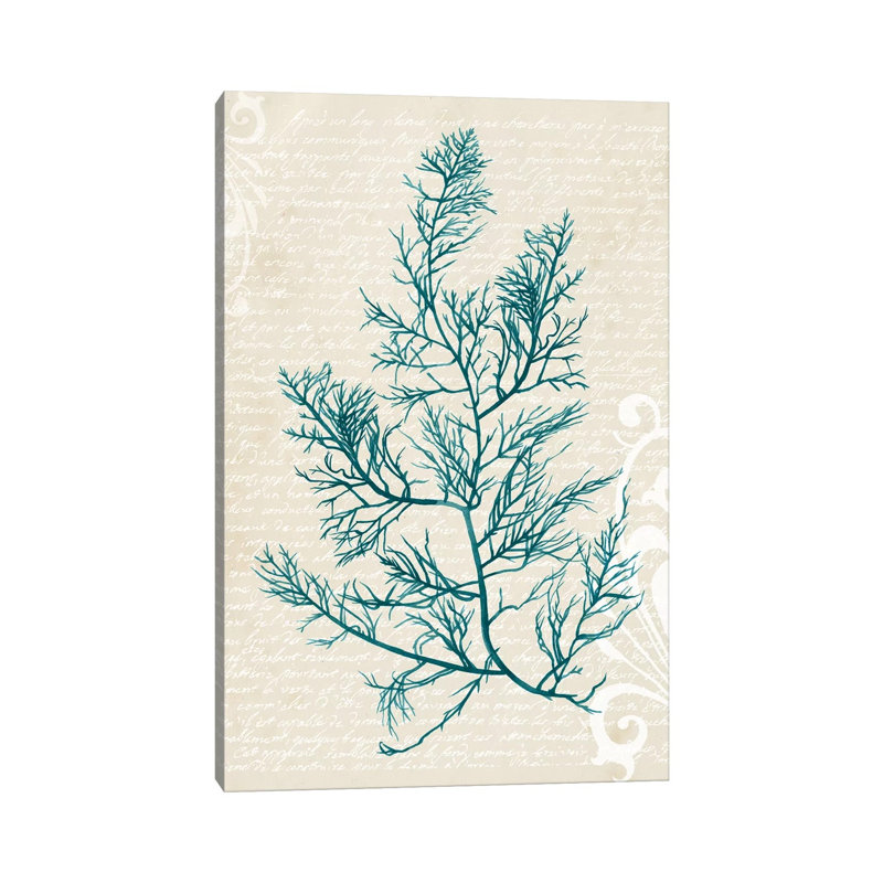 Teal Seaweed I by Grace Popp - Wrapped Canvas Gallery-Wrapped Canvas Giclée, 66.04 cm H x 45.72 cm W