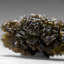 Genuine Moldavite Tektite (13.1 grams)