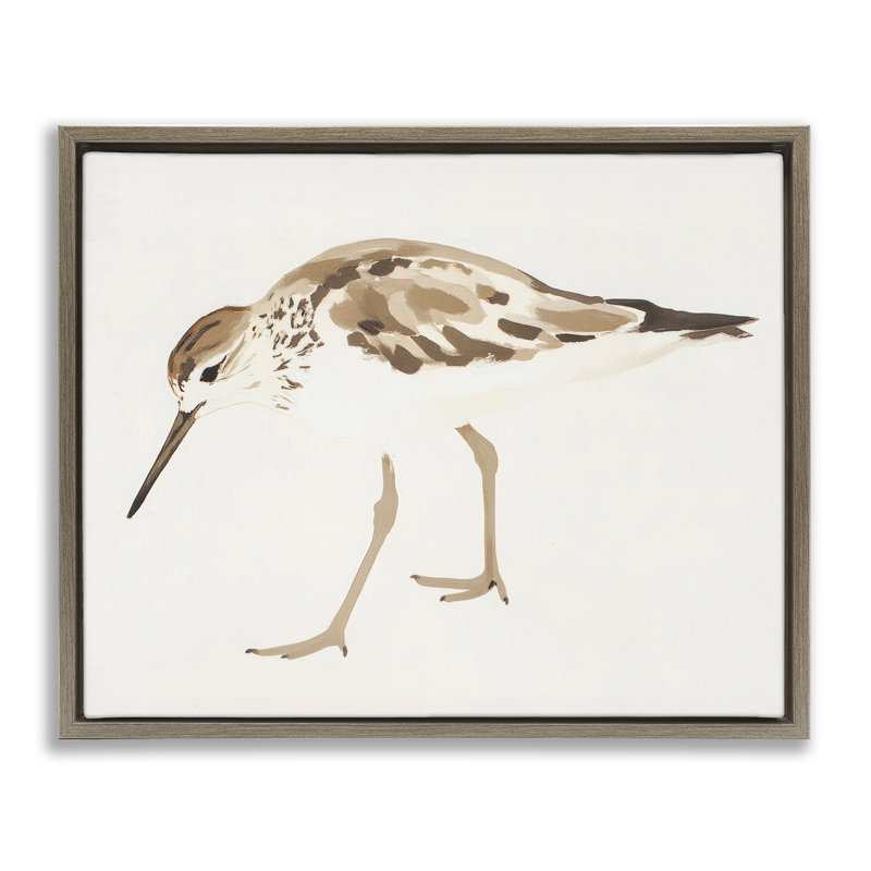 Cadre flottant Sandpiper Shore Bird, H 17 po x l 21 po, Cadre flottant orme Montalcino