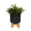 Tarrin Stoneware Planter with Wood Stand - Modern Ceramic Decorative Plant Pot with Raised Base-1898809790