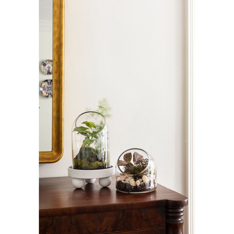 Glass Planter