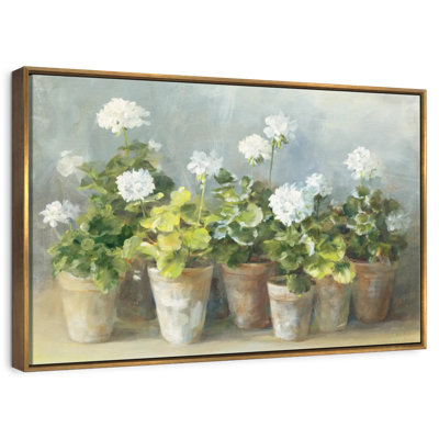 White Geraniums Crop