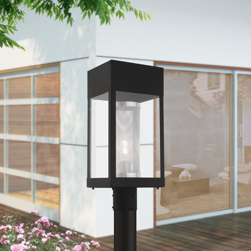 Araly Transparent Lantern Head