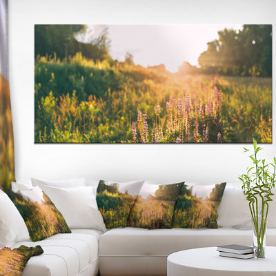 " Bloomy Glade Of Wild Flowers "