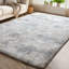 Tapis à poils longs Chasie-973402500
