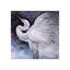 Egret Soiree Print by Beverly Fuller-25705846-25705852