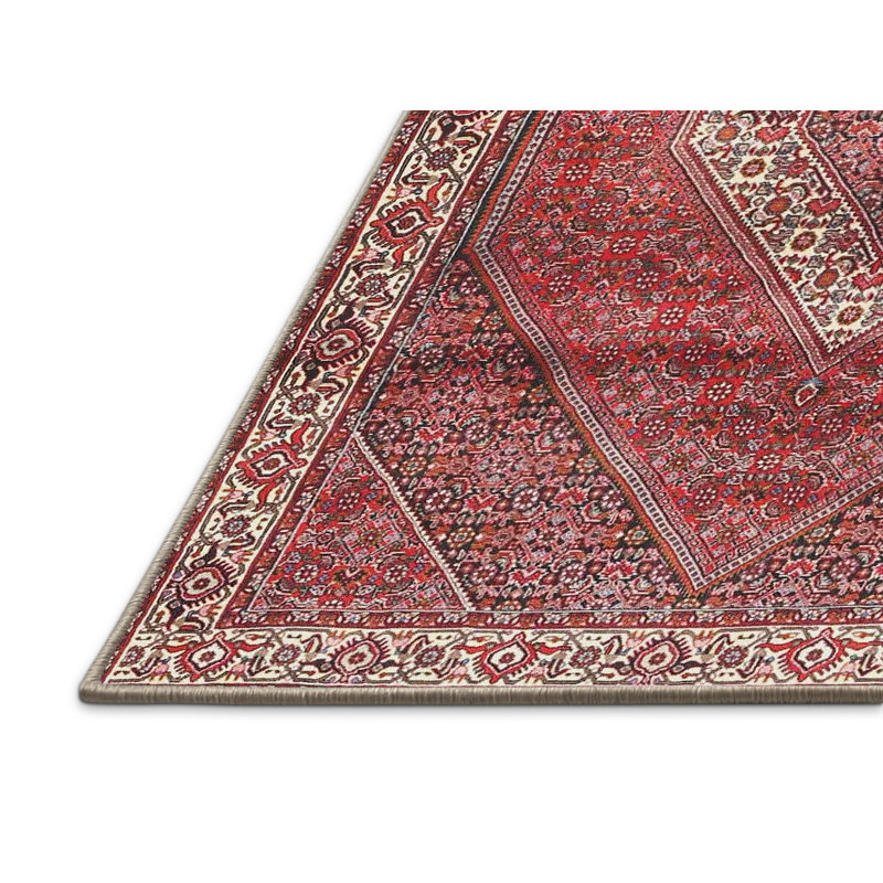 Oriental Indoor Rug, Rectangle 5' x 7'