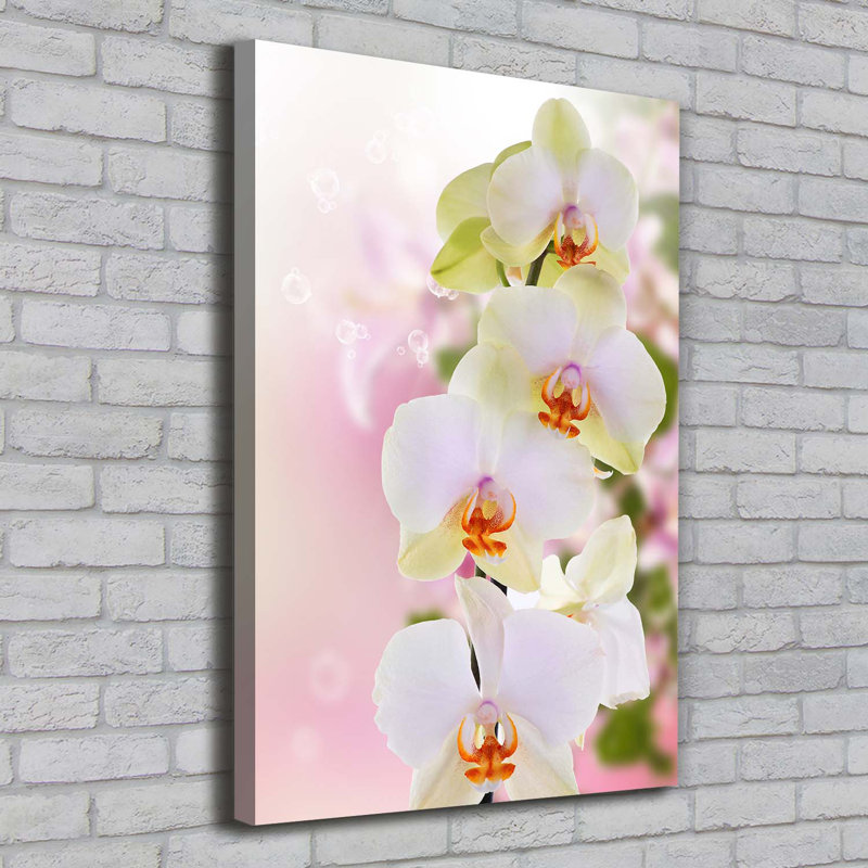 White Orchid - Wrapped Canvas Print