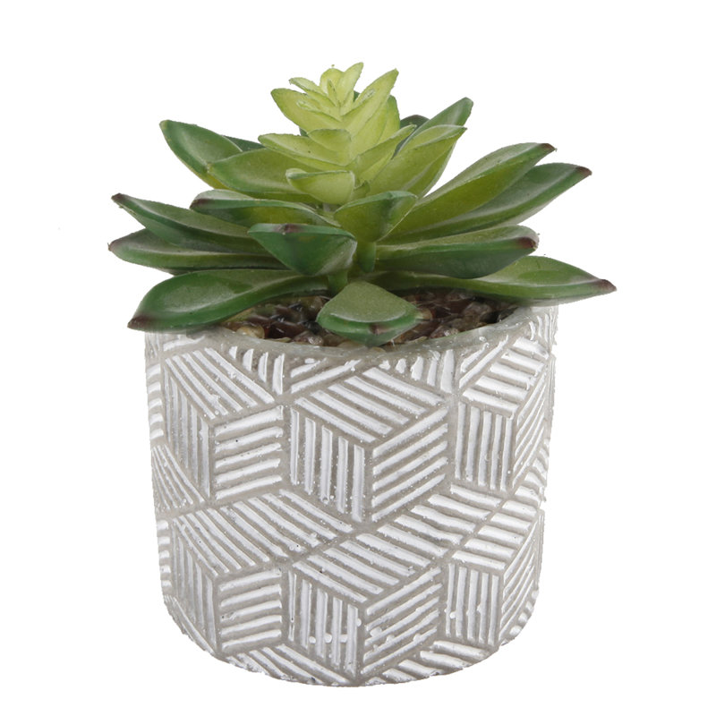 5.5 " H Faux Succulent Plant